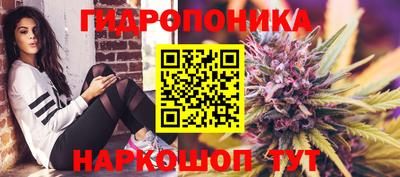 гашиш Сланцы